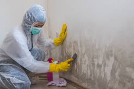 Best Biohazard Mold Removal  in Denton, MD